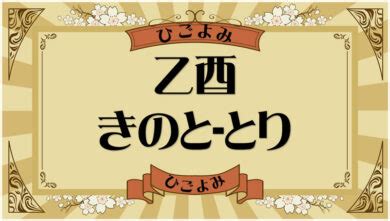 乙酉|乙酉・乙酉の日・乙酉の年について 